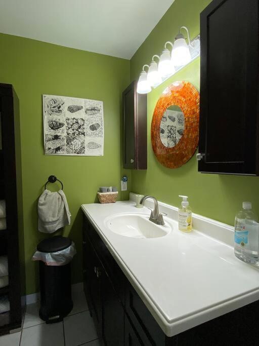 One Bed Suite Near Beaches And Downtown Sarasota Exteriér fotografie